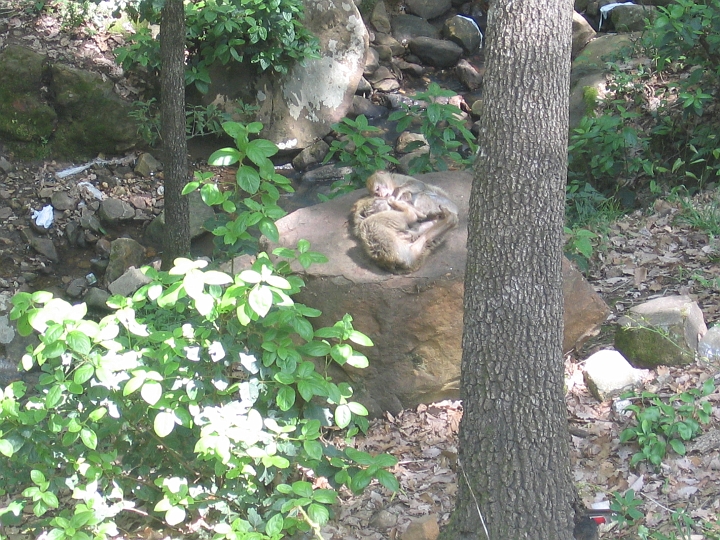 IMG_0044.JPG