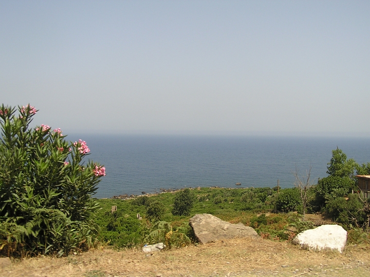 P1010058_1.JPG