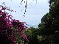 DSCF0478