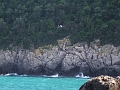 DSCF0506