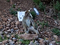 DSCF0540