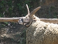 IMG_0057