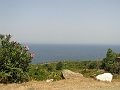 P1010058_1