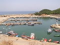 P1010067_1