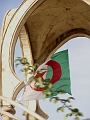 P1010140