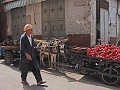 DSC00393