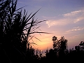 DSC00941