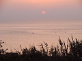 DSC00948