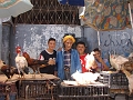 DSC00987